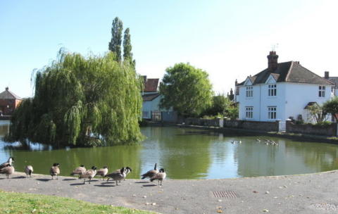 Doctor's pond at Dunmow, Essex